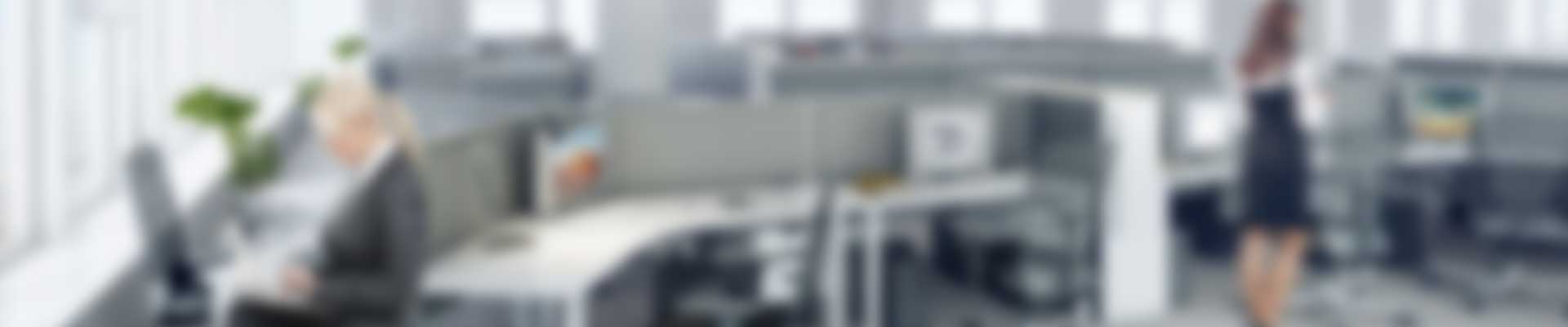 Поисковое продвижение